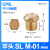 气动元件电磁阀配件堵头铜质消音器消声器AN10/AN20/BSL-01/02/03 平头消音器SLM-01