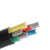 泓瑞沣 铝电缆线电线 YJLV4x50+1x25 单位：米