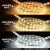 飞利浦（PHILIPS）照明企业客户 恒亮LED高压灯带 单排 9W高亮款 3000K 50米 黄光