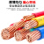 电线电缆BV10/16/25/35/50/70平方国标铜芯阻燃单塑硬电线 红色 50平方毫米 1芯