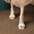 卡萨罗澳品牌法式凉鞋女2024夏季新款网纱仙女风百搭水晶时尚粗跟拖鞋 米白色 37
