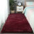 地毯卧室床边满铺少女可爱公主房间网红ins拍照客厅茶几毛毯地垫 酒红色长毛 定制