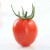 旺园兴圣女果种子小番茄种籽西红柿种孑四季播盆栽庭院水果蔬菜种子大全 绚丽大红番茄种子约100粒原装