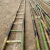 定制适合竹梯子2米到3米4米5米6米7米绝缘工程电力直梯梯子幼儿园竹梯 1.0米竹梯(清漆防裂耐用)