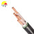丰旭 电线电缆 YJV电力电缆 国标铜芯户外电缆 YJV 3*16+1*10（50米起售）1米