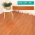 画萌PVC地板革复古木地板贴加厚防水自粘地板贴石塑地板胶家用厅 1平 B06(加厚耐磨 1平米价格)