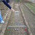 农用盖地膜工具手拉式覆膜机覆膜器铺膜机地膜覆盖机铺膜工具 0.6米-0.8米加厚款