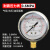 耐震压力表YTN602F252F402F62F1.6MPA液压油压表水压表防震气压表 60耐震压力表0-0.6MPa(6公斤) M