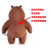 熊出没公仔熊大熊二毛绒玩具儿童玩偶抱枕男女孩可爱娃娃生日礼物 熊二 45厘米