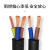 天背(Tianbei) 电线电缆5芯RVV1.0平方无氧铜芯监控电源线 软护套线100米
