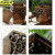 京洲实邦 大号带卡口 摇盖式木质复古木纹中式垃圾桶JZSB-9029