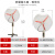 威尔克VRK 工业防爆摇头风扇FB-500落地式壁式工业电风扇立式壁挂式防爆金属风扇/ FB-500 220V立式带调速