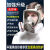 DYQT定制防毒面具全面罩防烟化工打农药生化喷漆专用防尘口罩防护呼吸面罩 6100面具主体一个