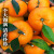 广西沃柑新鲜水果5斤超甜应季爆甜薄皮桔子蜜橘无籽10斤 5斤小果55mm以下
