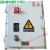 防爆配电柜变频器控制柜动力照明箱接线箱不锈钢PLC触摸屏控制箱 (304不锈钢)定制 BXM(D)动力箱