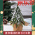 知鲁（ZHILU）日本进口品质圣诞节装饰INS北欧风PE圣诞花环仿真雪松小树桌面摆 18cm 植绒松树