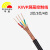 丰旭 ZB-KVVP 16*1.0阻燃铜芯屏蔽控制电缆 ZB-KVVP 16*1.0 10米（100米起订）
