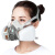 防毒面具6200粉尘面罩有毒气化工气体工业防尘喷漆全粉尘防护罩  620P七件套装