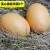费雪（Fisher-Price）实心假鸡蛋玩具木制仿真实心假鸡蛋玩具初生仿真石头道具模型假的 褐色鸡蛋2个(实心木质)