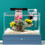 玉洋轩 鱼缸超白玻璃小型客厅家用办公桌面迷你生态造景小鱼缸桌面 欧式木座+超白玻璃缸