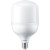 飞利浦 PHILIPS 照明企业客户 恒亮型LED中低天棚灯 30W 865 E27 G3 白光 2只装