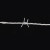 赫思迪格 HGJ-299 防盗防爬带刺钢丝网围墙 钢丝刺绳刺丝网防护栏网 1.8mm×300m钢丝 刺距8cm