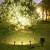 灯罗兰（DENGLUOLAN） 太阳能照树射灯户外防水庭院草坪别墅花园景观七彩氛围照明灯具 一拖一-白/暖（二选一）
