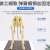 科睿才骨科器械 猫狗骨骼标本模型 猫犬骨架骨头模型 教学骨架骨骼模型 大狗骨 Y1009837 