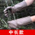牛皮防刺手套园林园艺扎穿仙人球玫瑰月季修剪摘花椒板栗灵活厚左 中长款一双（37cm） 颜色随机 L