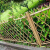 德威狮 不锈钢仿竹护栏  户外公园篱笆栅栏草坪园林绿化带防腐围栏公园景区竹节栏杆 绿色高120cm 单位：组