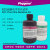 ECL超敏化学发光试剂盒 ECL发光液显色剂 100mL [PH0353 PHYGENE] 2×25mL[50mL]