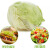 西生菜新鲜蔬菜圆生菜球包菜汉堡包蔬菜沙拉菜球生菜新鲜500g 500g