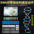 梓萤岔DNA双螺旋结构模型大号高中分子结构模型60cmJ33306脱氧核苷酸链 DNA双螺旋结构模型(小号)