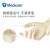 Medicom麦迪康 一次性手套乳胶实验室橡胶无粉食品级美容美发专用乳胶手套 100只/盒 乳白色 1108B 小码S