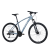 喜德盛（xds） 山地车自行车英雄300学生青少年成人骑行运动健身单车变速车 （新色系）光感银 17.5寸(175CM-190CM身高)