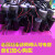 定制浙江双峰电容电机启动运行电容器 全系列CBB60 CD60 60VF-450V 尺寸50*100