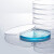 筑华工品  一次性塑料培养皿无菌细胞平皿 圆形90mm*15mm 500个/箱 90*15（500个）