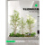 未欧仿真竹子室内景观造景绿植装饰组合假植物橱窗布置楼梯下地面造景 旅人蕉组合【小型】造景