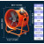 手提式轴流风机220V移动式排风扇抽风鼓风机隧道喷漆工业通风设备 20寸(500MM)移动风机