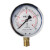 定制适用抗震表耐振油压表 指针防震YN-100防震0-1.6气压油液压 0-0.25MPA