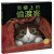 猫眼看世界迷路的猫/雪橇上的偷渡客共2册平装海豚绘本花园儿童图画故事书0-1-2-3-4-5-6岁幼1儿童节童书节 绘本花园：迷路的猫