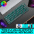 雷狼TWOLF雷狼T30三模无线蓝牙真机械小键盘RGB发光平板电脑游戏63键 T30三模黑色（RGB