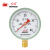红旗（HONGQI）Y-100普通压力表径向安装0-40mpa水压油压气压表螺纹M20*1.5	