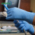 柯沃丁腈手套APFGWCHD加厚级耐油耐酸碱防滑实验室半导体餐饮 天蓝色6.5克加厚型 L