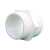 卓炫（ZHUOXUAN)   PVC给水管件 外螺直接 外丝直接 pvc管材 Φ75(5个装)