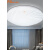 佛山照明LED吸顶灯卧室客厅吸顶灯灯具圆形走廊阳台小吸顶灯 17w凤尾(直径32厘米)