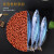 淘歌血鹦鹉鱼饲料红鹦鹉鱼食增色增艳发财地图锦鲤热带观赏鱼粮