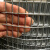 京臣镀锌铁丝网加粗养鸡围栏网钢丝网养殖网防护网小孔栅栏户外格网 孔1.3*2.5丝1.3MM高1.0米长20米