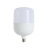 led灯泡照明球泡灯节能灯泡大功率白光黄光灯泡定制 恒流风暴款(E27螺口白光) 30瓦