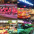 新国标led生鲜灯 水果店市场专用灯鲜肉超市灯鲜蔬菜轨道射灯 黑色外壳照明专用6000K 新国标9 20W